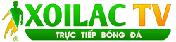 brighton – aston villa